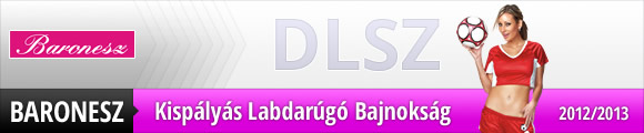 DLSZ Baronesz osztály 2012/2013