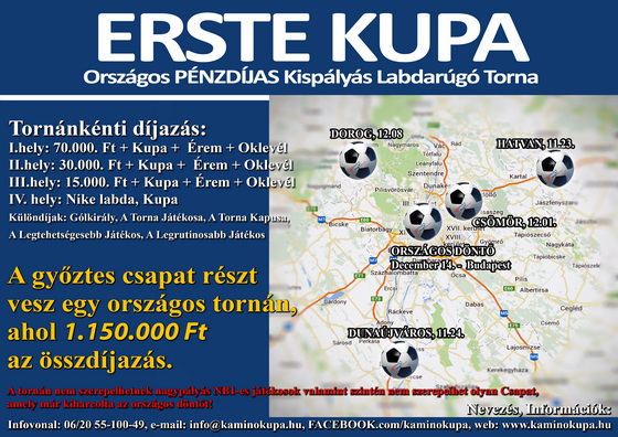 Erste Kupa Dunaújváros 2013